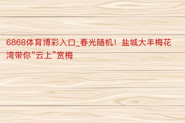 6868体育博彩入口_春光随机！盐城大丰梅花湾带你“云上”赏梅