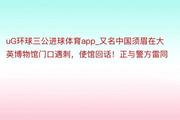 uG环球三公进球体育app_又名中国须眉在大英博物馆门口遇刺，使馆回话！正与警方雷同