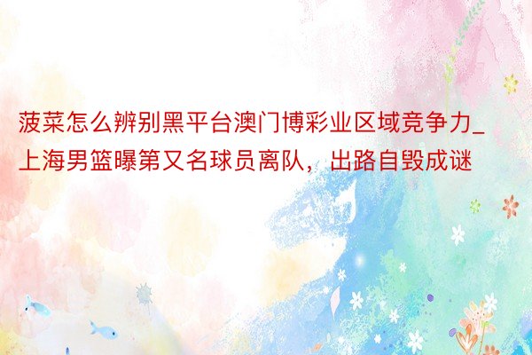 菠菜怎么辨别黑平台澳门博彩业区域竞争力_上海男篮曝第又名球员离队，出路自毁成谜